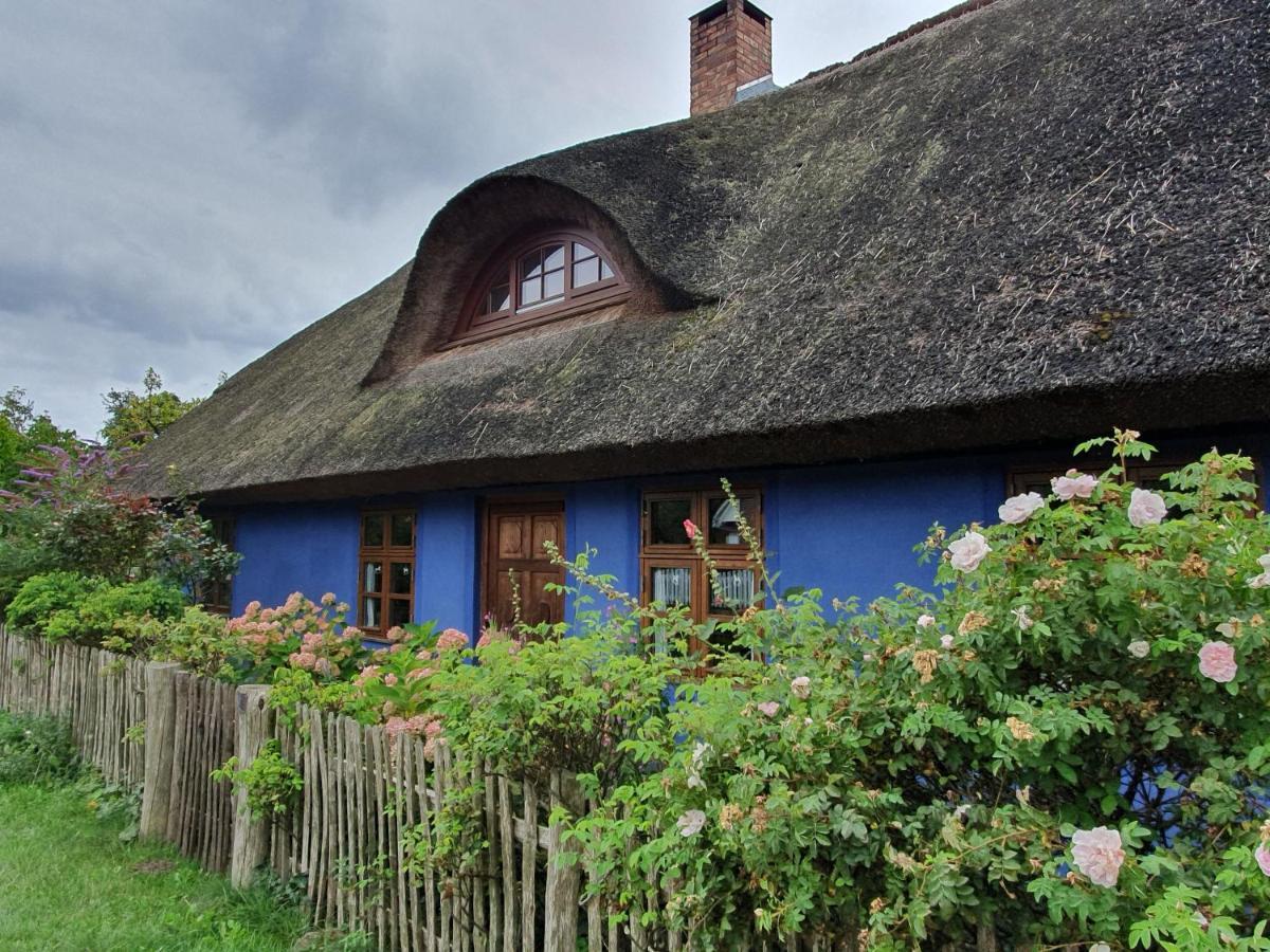 Ferienwohnung Ole Zinnowitz Luaran gambar